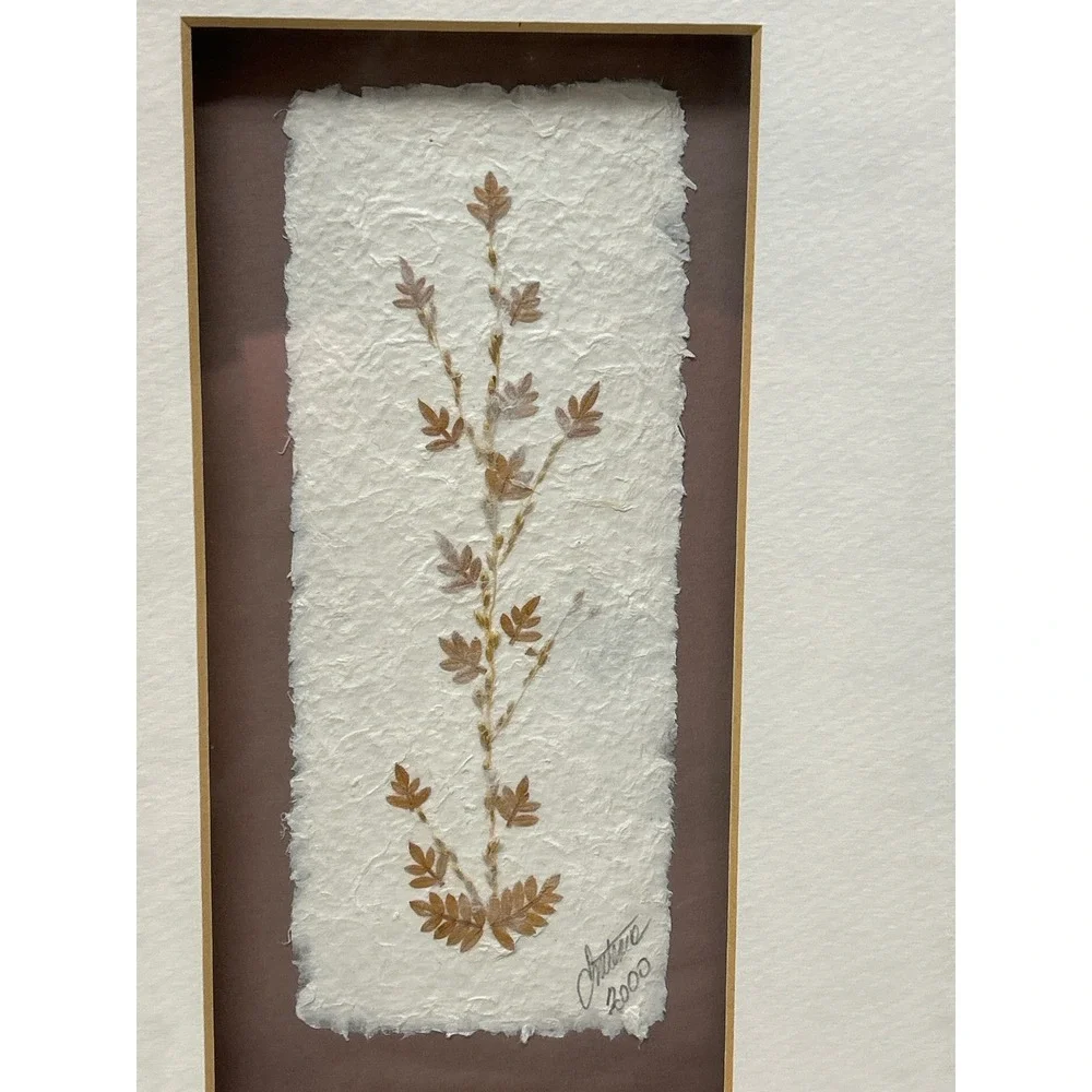 Vintage‎ Signed Pressed Botanical Leaf Art Framed Handmade Paper 2000 12x8.5in